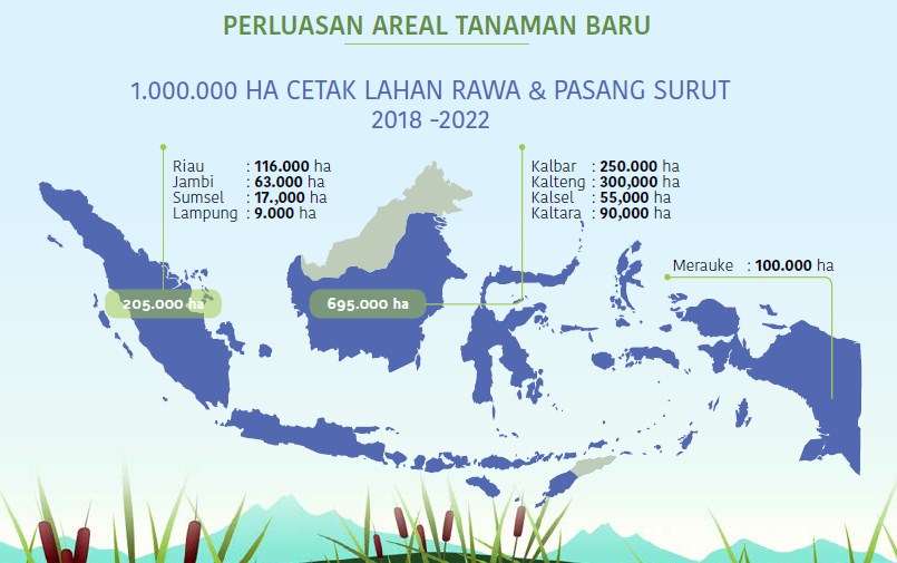 Petani Milenial Penentu Sukses Pengembangan Lahan Rawa